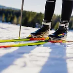 Waldhotel - Genuss & Wellness Am Notschreipass Hotel