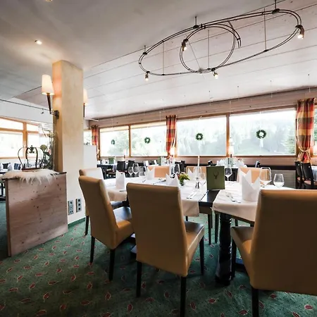 Waldhotel - Genuss & Wellness Am Notschreipass 4* 托特瑙