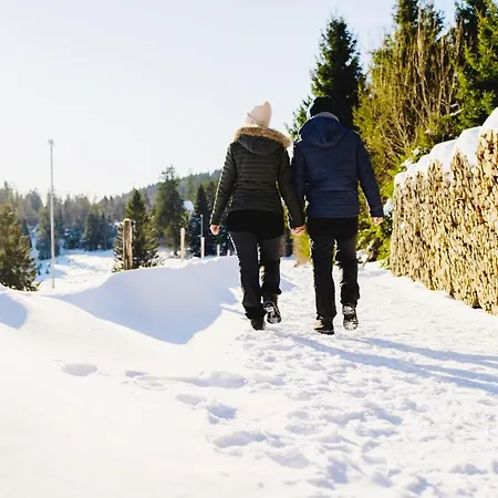 Waldhotel - Genuss & Wellness Am Notschreipass
