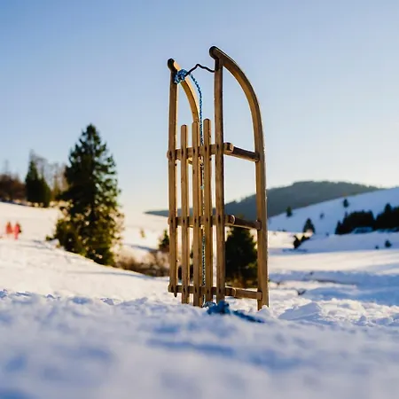 Waldhotel - Genuss & Wellness Am Notschreipass