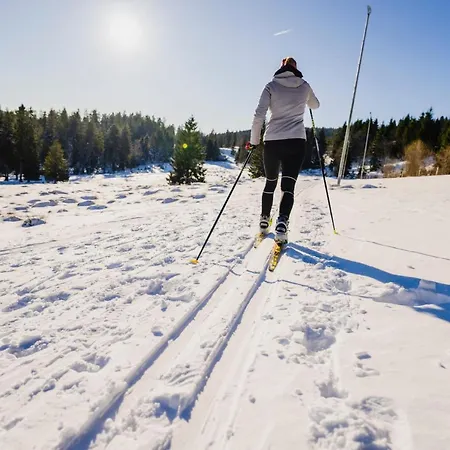 Waldhotel - Genuss & Wellness Am Notschreipass 4*