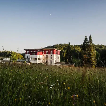 Waldhotel - Genuss & Wellness Am Notschreipass 托特瑙