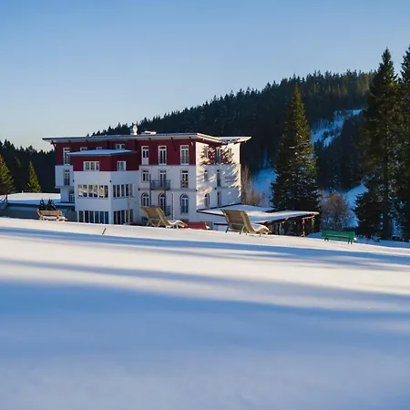 Waldhotel - Genuss & Wellness Am Notschreipass מלון 4*