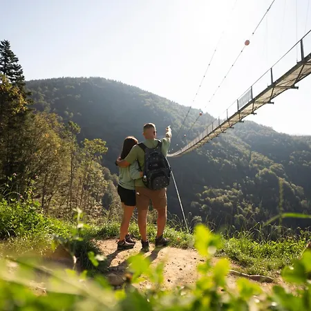 Hotel Waldhotel - Genuss & Wellness Am Notschreipass Todtnau