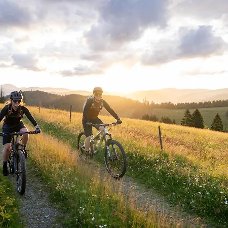 Waldhotel - Genuss & Wellness Am Notschreipass 4* Todtnau