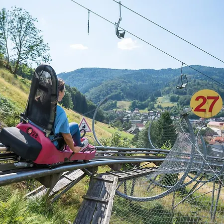 Waldhotel - Genuss & Wellness Am Notschreipass Todtnau