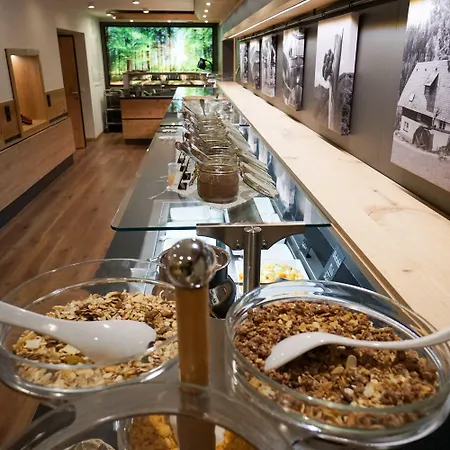 Waldhotel - Genuss & Wellness Am Notschreipass 4*