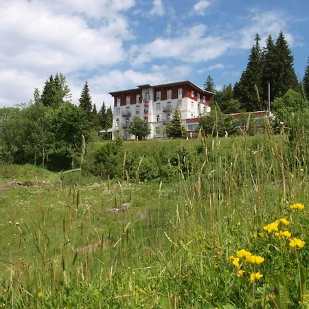 酒店 Waldhotel - Genuss & Wellness Am Notschreipass 托特瑙