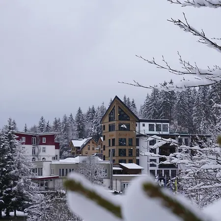 Waldhotel - Genuss & Wellness Am Notschreipass 4*