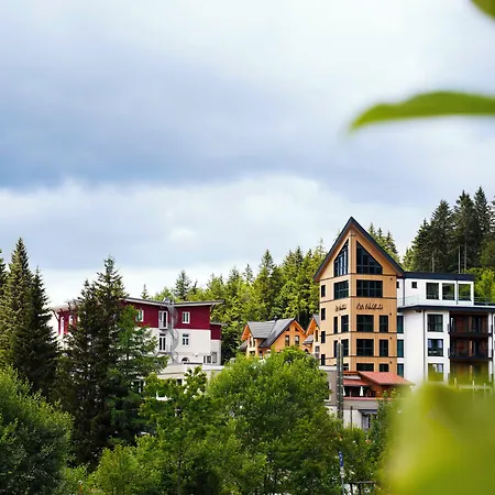 Waldhotel - Genuss & Wellness Am Notschreipass 4*