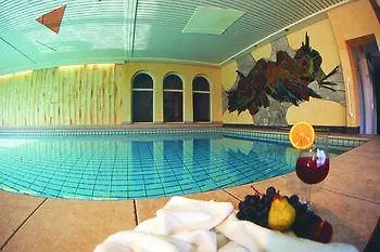 Waldhotel - Genuss & Wellness Am Notschreipass 4*