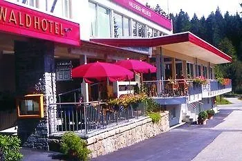 Waldhotel - Genuss & Wellness Am Notschreipass מלון טודנאו