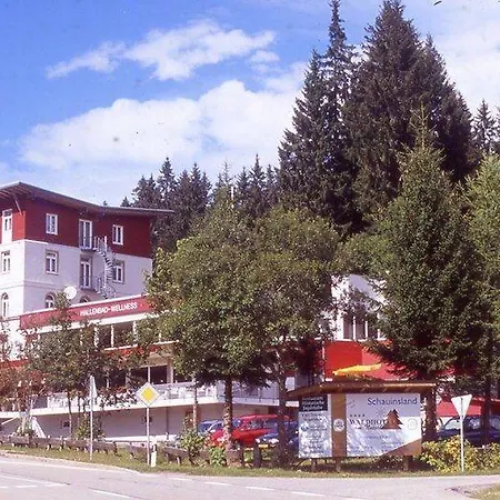 Waldhotel - Genuss & Wellness Am Notschreipass 4* טודנאו