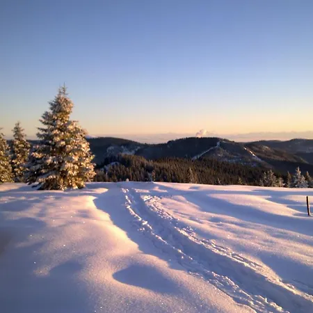 Waldhotel - Genuss & Wellness Am Notschreipass