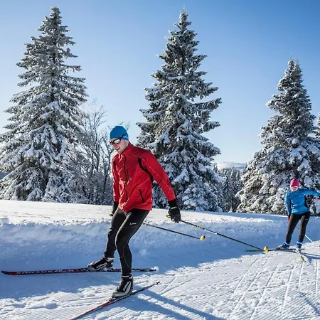 Waldhotel - Genuss & Wellness Am Notschreipass Hotel